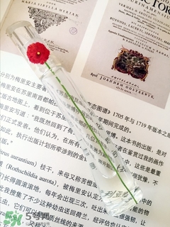 kenzo��ˮһ֦������Ǯ��kenzoһ֦����ˮ��ô���۸�